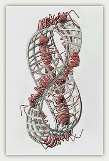 Лента Мебиуса II. 1963